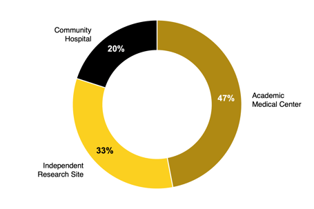 Advancing Diversity - Pie Chart