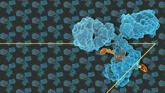 Clinical Trial Trends: Antibody-Drug Conjugates