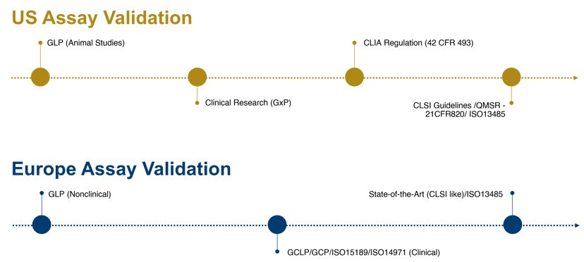 Correct Use of Terminology in US vs EU for Human Studies