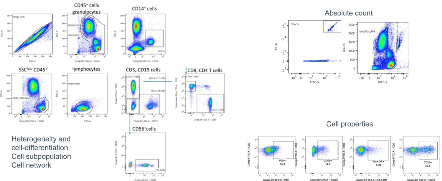 Flow-cytometry-enables-analysis-of-surface-intracellular-and-intranuclear-information-at-the-single-cell-level-1536x628