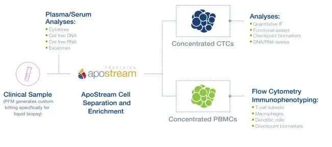 PFM-ApoStream-CTC-isolation-and-enrichment-enables-multiple-downstream-assays-from-a-single-sample-651x290