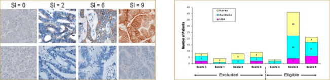 PFM-Figure-5.-Development-of-a-custom-IHC-assay-and-scoring-index-for-enrollment-into-a-Phase-1-study-651x159