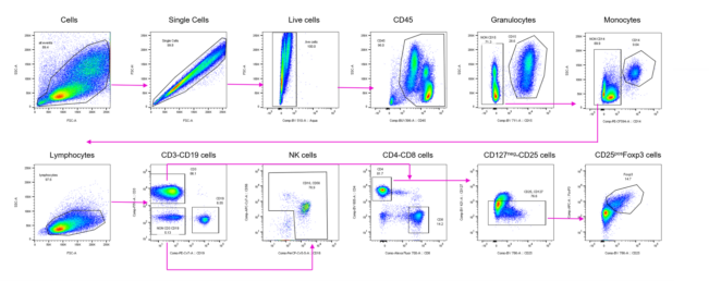 Sample-gating-strategy-for-flow-cytometry-panel-for-Tregs-651x258