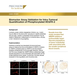 https://5014803.fs1.hubspotusercontent-na1.net/hubfs/5014803/PFM%20Resources/Resources%20Thumbnails/Case%20Study/Biomarker%20Assay%20Validation%20for%20Intra-Tumoral%20Quantification%20-%20Case%20Study.jpg