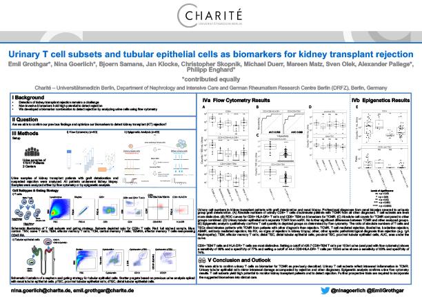 Urinary T cell subsets and tubular epithelial cells as biomarkers for kidney transplant rejection