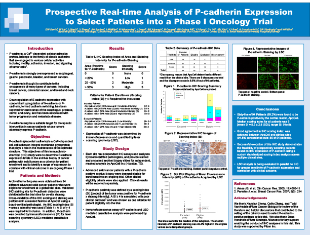 Prospective Real-time Analysis of P-cadherin Expression to Select Patients into a Phase I Oncology Trial