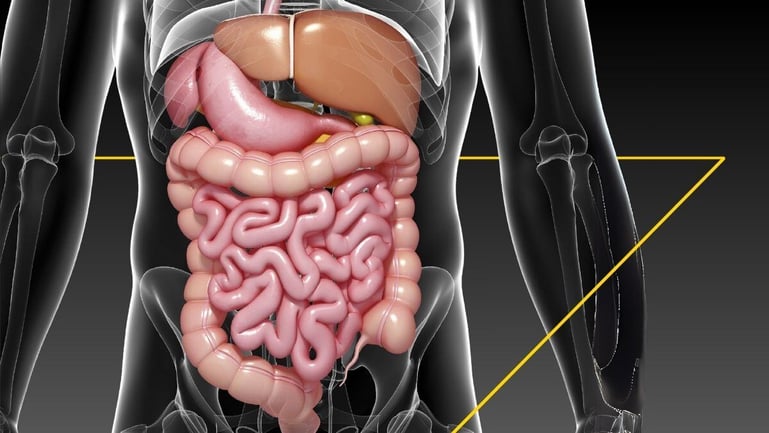 Progress in Gastrointestinal Oncology: 5 Key Insights from ASCO GI