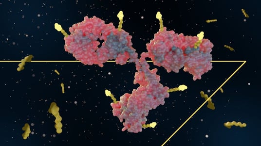 Why Antibody-Drug Conjugates Are Revolutionizing Precision Oncology