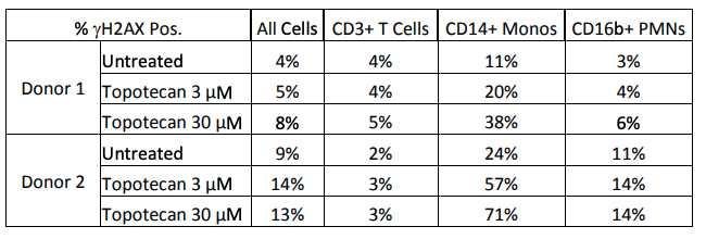 Effects-of-topotecan-treatment-on-γH2AX-cell-counts